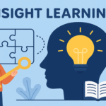 insight learning
