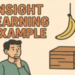 Insight Learning Example